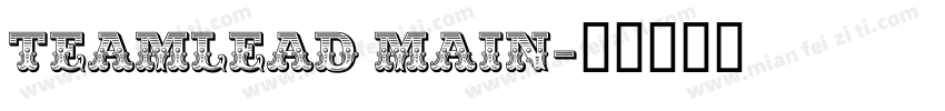 TEAMLEAD MAIN字体转换